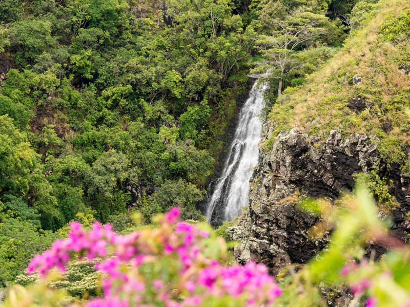 Sun illuminates the twin falls of Opaekaa waterfall on Hawaiian island of Kauai