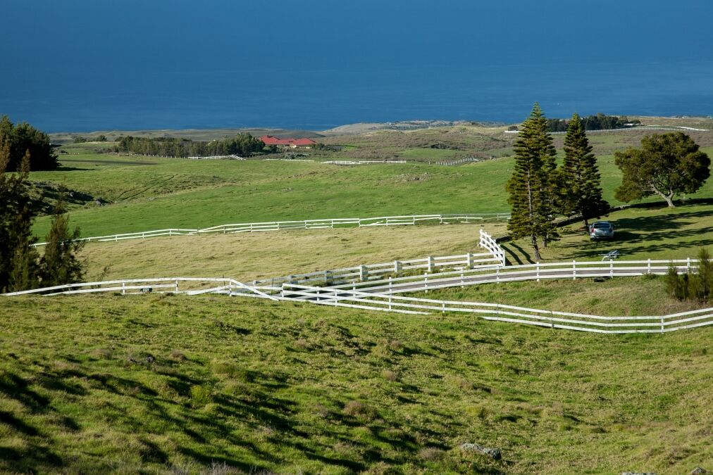 View of the parker cattle ranch on the north shore of the Big Island, Hawaii