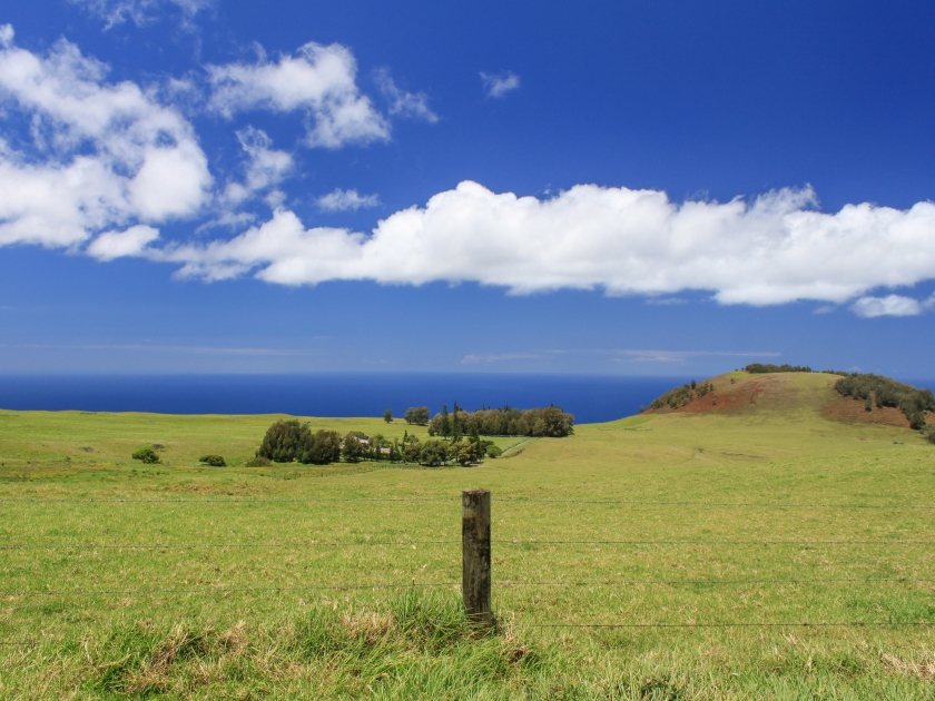 Fence with barbed wires protecting the ranchers' homes within the emerald green hills and pastures in Waimea countryside on Big island, Hawaii