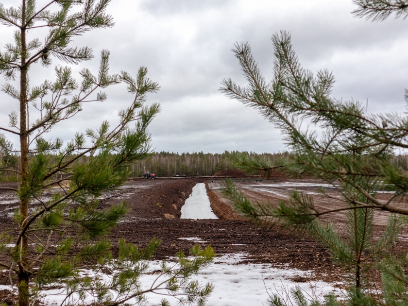 A,Natural,View,Of,A,Peat,Bog,Through,Two,Branches