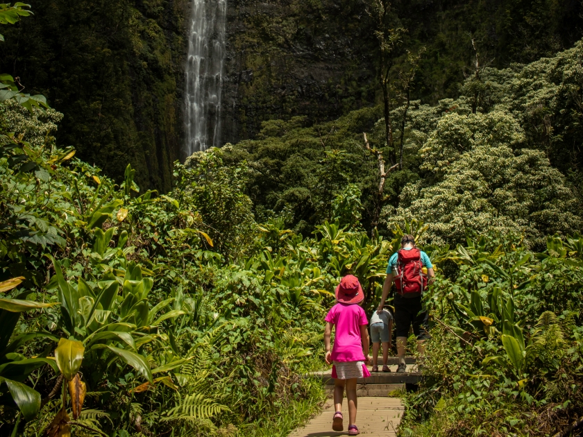 A dad and daughter hike to Waimoku Falls in Haleakala National Park in Maui, Hawaii. This is the last waterfall on the Pipiwai Trail.