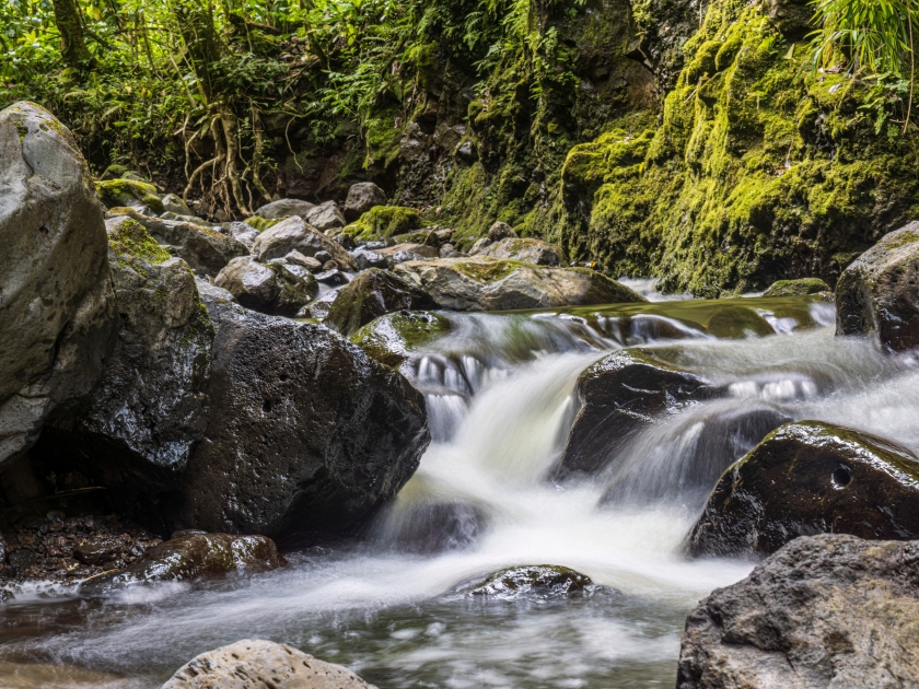 A stream along the Pipiwai Trail in Haleakala National Park on the island of Maui in Hawaii.