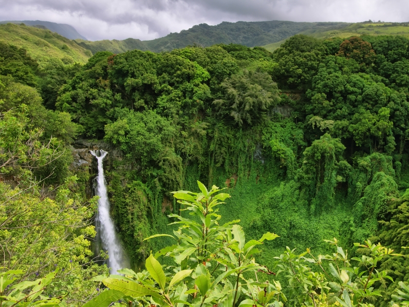 Makahiku falls view in Waimoku falls trail, Maui island, Hawaii