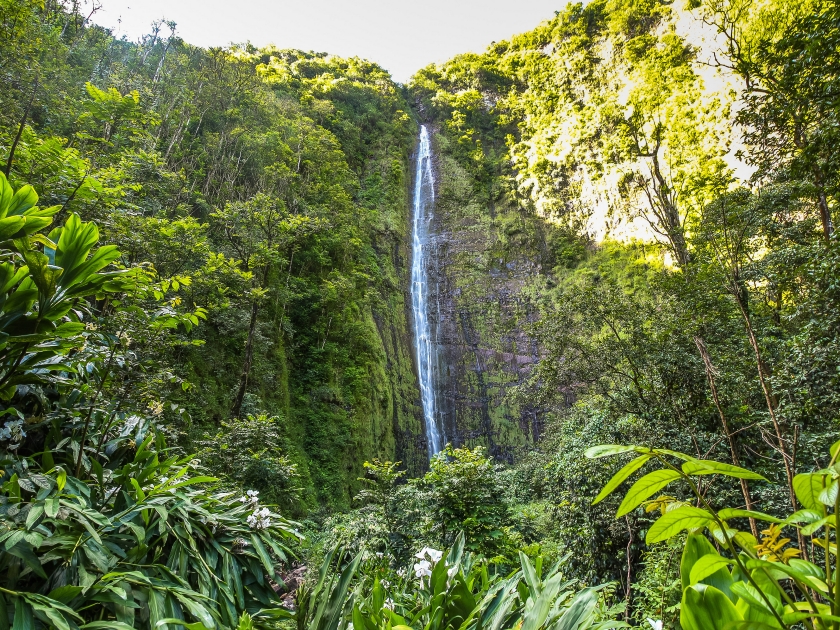 Tall Waimoku Falls on Maui island, Hawaii