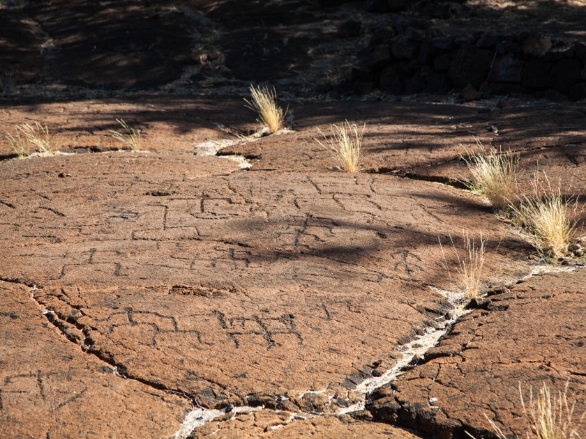 Petroglyph Landscape on Hawaii's Big Island