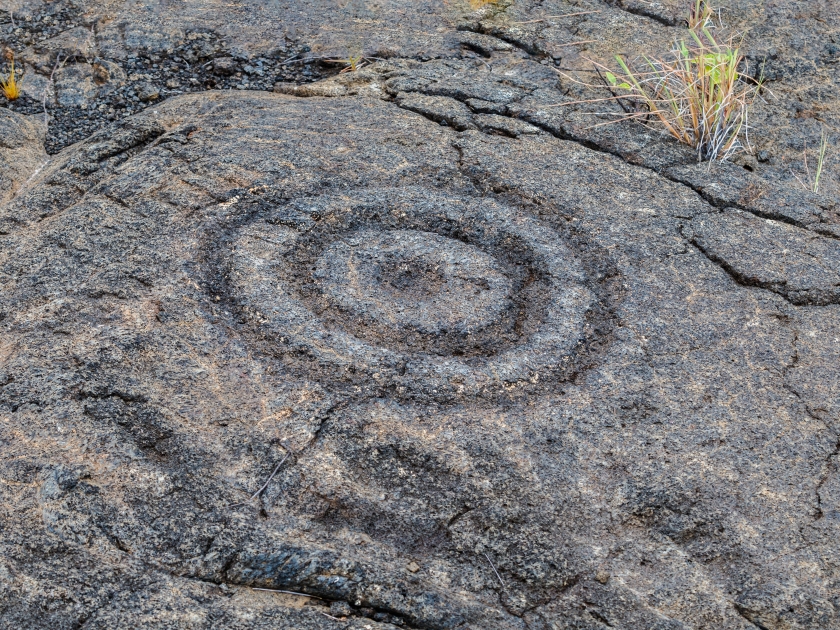 Petroglyphs in lava rock at Pu'uloa along Chain of Craters road, in volcano National Park on the island of Hawaii. Carvings are 400-700 years old.