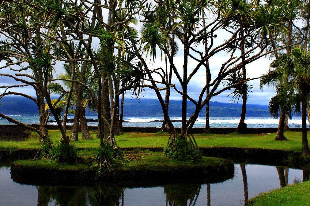 Richardson Ocean Park in Hilo, Hawaii Beach