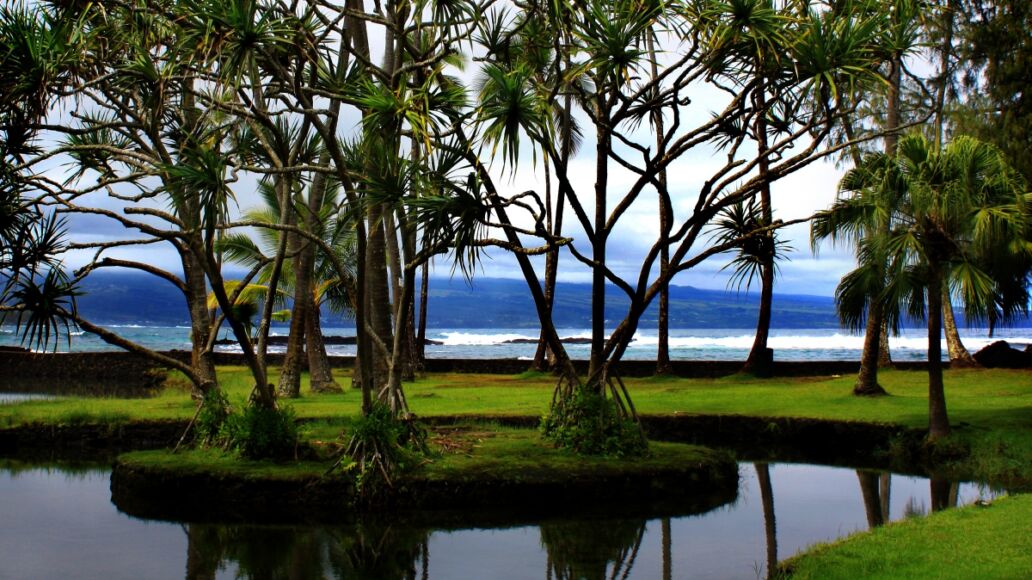 Richardson Ocean Park in Hilo, Hawaii Beach