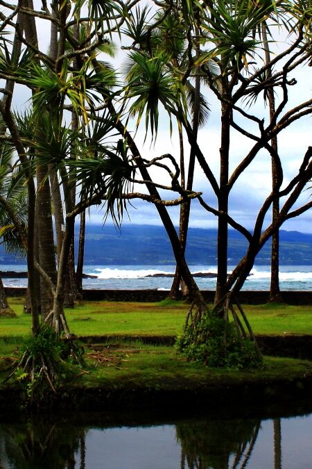 Richardson Ocean Park in Hilo, Hawaii Beach