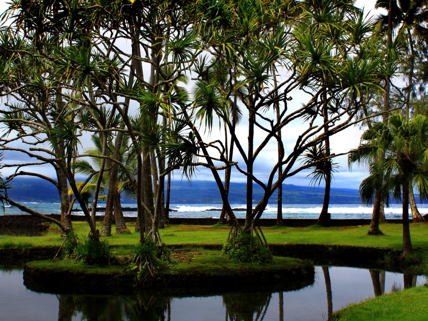 Richardson Ocean Park in Hilo, Hawaii Beach