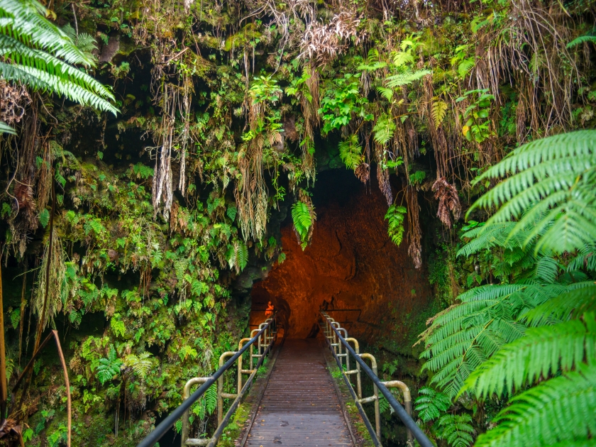 The Thurston Lava Tube in Hawaii Volcano National Park, Big Island, USA