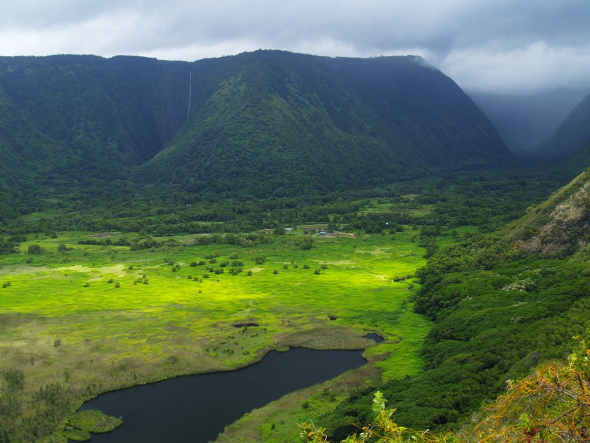 Green Waipio valley at Big Island, Hawaii