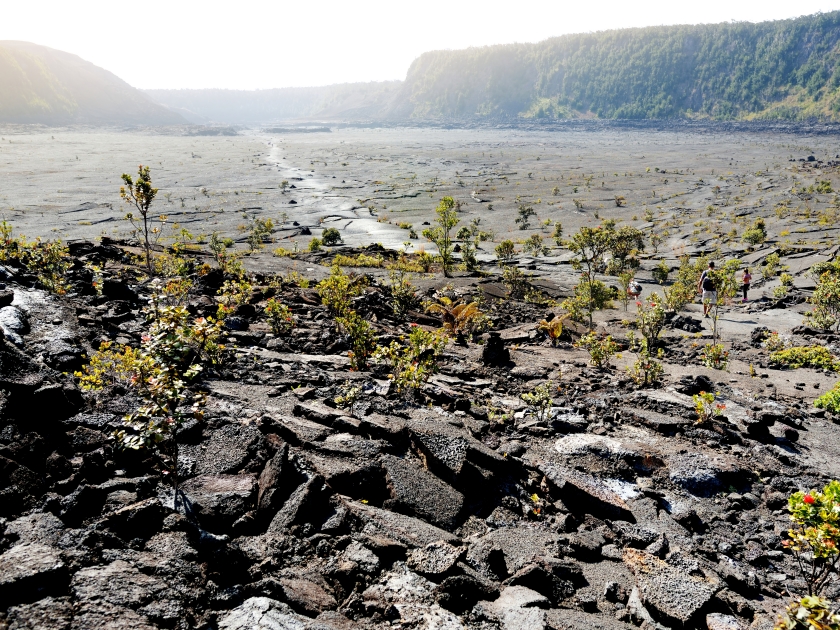 Stunning view of the Kilauea Iki volcano crater surface with crumbling lava rock in Volcanoes National Park in Big Island of Hawaii, USA