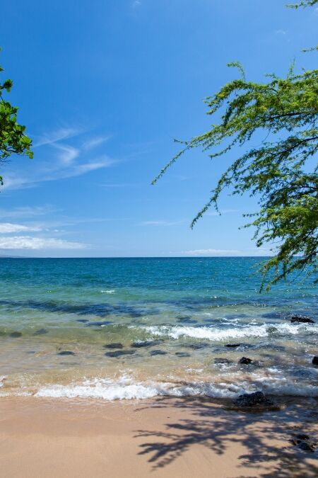 View of the ocean at Spencer Beach Park, Big Island, Hawaii