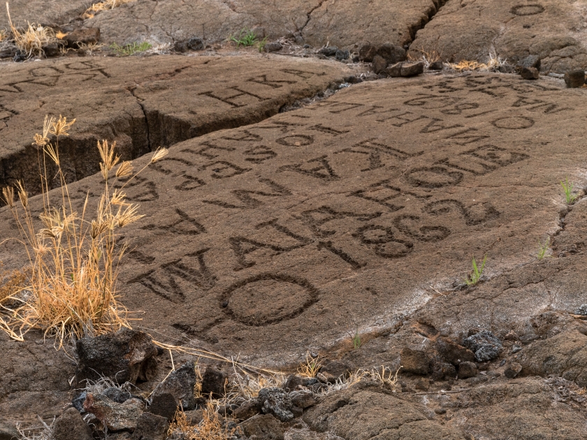 Petroglyphs in Waikoloa Field, on the King's Trail (