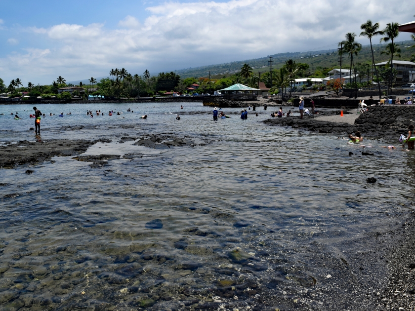 the sheltered clear waters at Kahaluu Beach Park, Big Island Hawaii