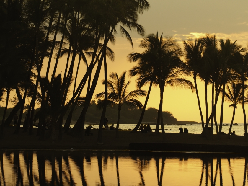 Hawaiian scenic: silhouettes of beachgoers under palm trees, waiting for sunset, at Anaehoomalu Bay on the Kona Coast of the Big Island