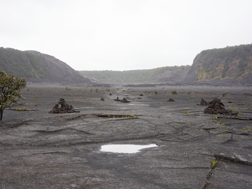 The floor of the solidified Kīlauea Iki Crater lava lake in Hawaii Volcanoes National Park on a rainy day.