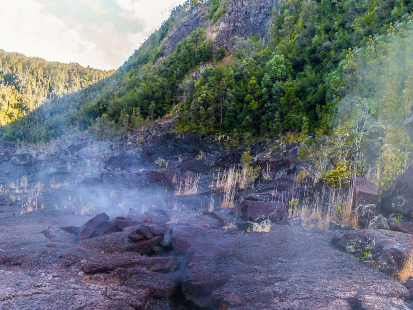 Steam Vents In The Hardened Lava Surface Floor of Kilauea Iki Crater, Hawaii Volcanoes National Park, Hawaii Island, Hawaii, USA