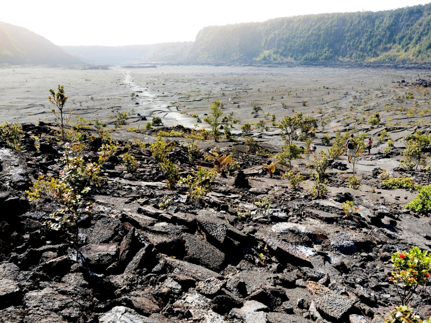 Stunning view of the Kilauea Iki volcano crater surface with crumbling lava rock in Volcanoes National Park in Big Island of Hawaii, USA