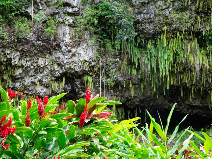 FERN GROTTO in Kauai