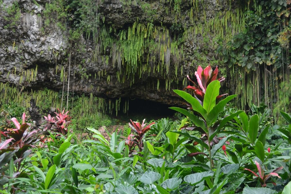 Fern Grotto, a beautiful location on Kauai for many types of celebrations.