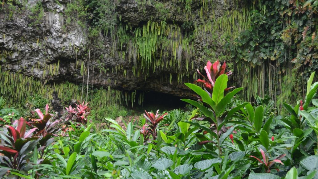 Fern Grotto, a beautiful location on Kauai for many types of celebrations.