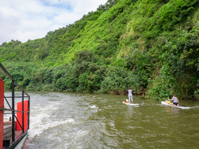 Wailua River Cruise & Grotto Tour takes you on a cruise down the Wailua River to the botanical beauty of Fern Grotto plus a romantic visit to Opaekaa Falls on Kauai.