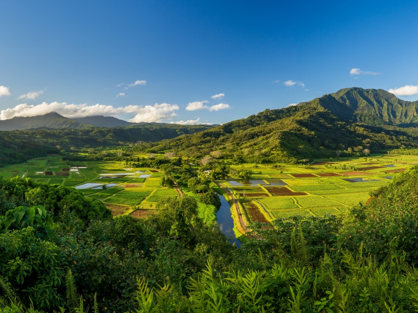 Broad panorama of an early morning view over the Hanalei valley and wildlife refuge from the Princeville overlook