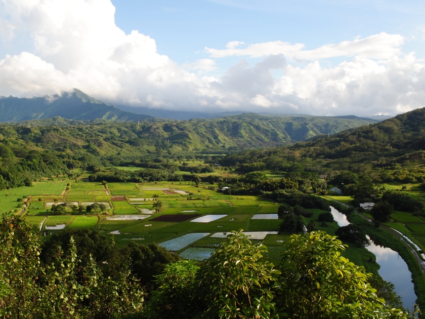 Hanalei Valley Lookout. Near Princeville, Kauai, Hawaii. USA