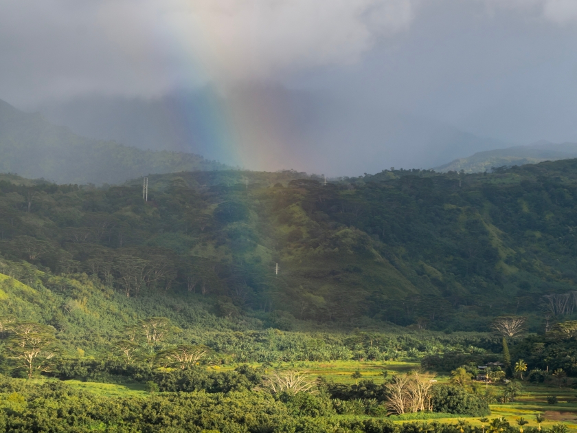 View of the beautiful Hanalei Valley with a rainbow and rain clouds from the Hanalei Valley Lookout in Princeville, Kauai, Hawaii, United States.