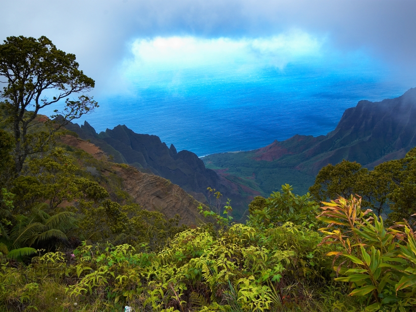 Kalalau lookout on Kauai on Kauai Hawaii. More with keyword Series001D.