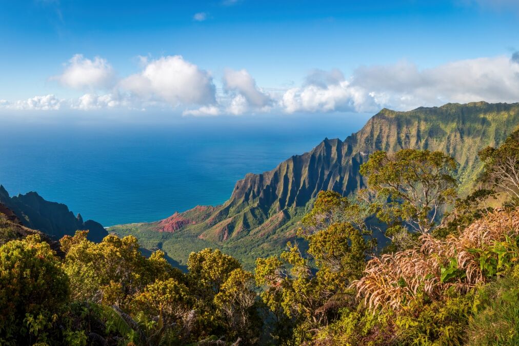 Kalalau Lookout with panoramic view of beautiful Napali Coast at Koke'e State Park on the Hawaiian island of Kauai, USA