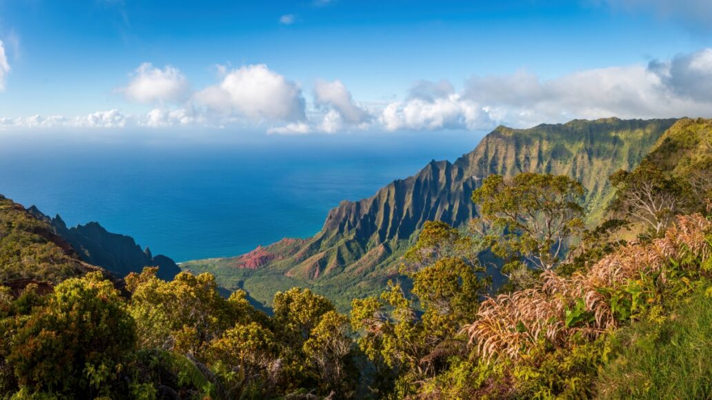 Kalalau Lookout with panoramic view of beautiful Napali Coast at Koke'e State Park on the Hawaiian island of Kauai, USA