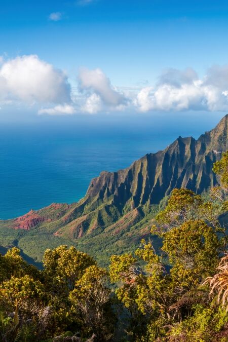 Kalalau Lookout with panoramic view of beautiful Napali Coast at Koke'e State Park on the Hawaiian island of Kauai, USA