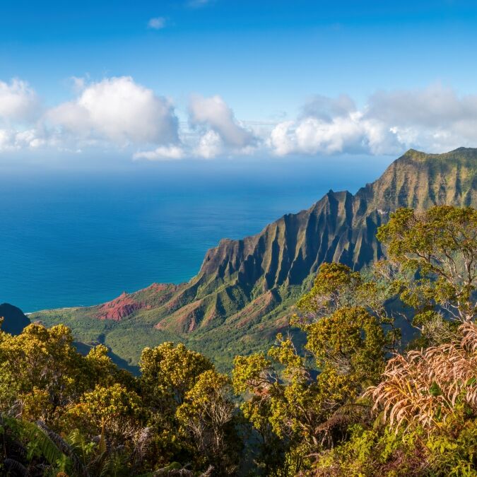 Kalalau Lookout with panoramic view of beautiful Napali Coast at Koke'e State Park on the Hawaiian island of Kauai, USA