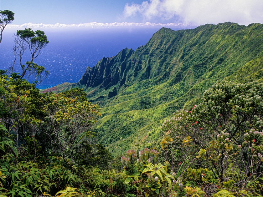 View of Kalalau Valley and the Napali Coast of Kauai, Hawaii, from a Kokee State Park overlook.