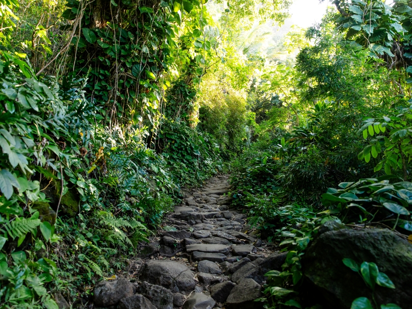 Kalalau Trail, a trail along Nā Pali Coast of the island of Kauai in the state of Hawaii. The trail runs approximately 11 miles along the island's north shore from Keʻe Beach to the Kalalau Valley