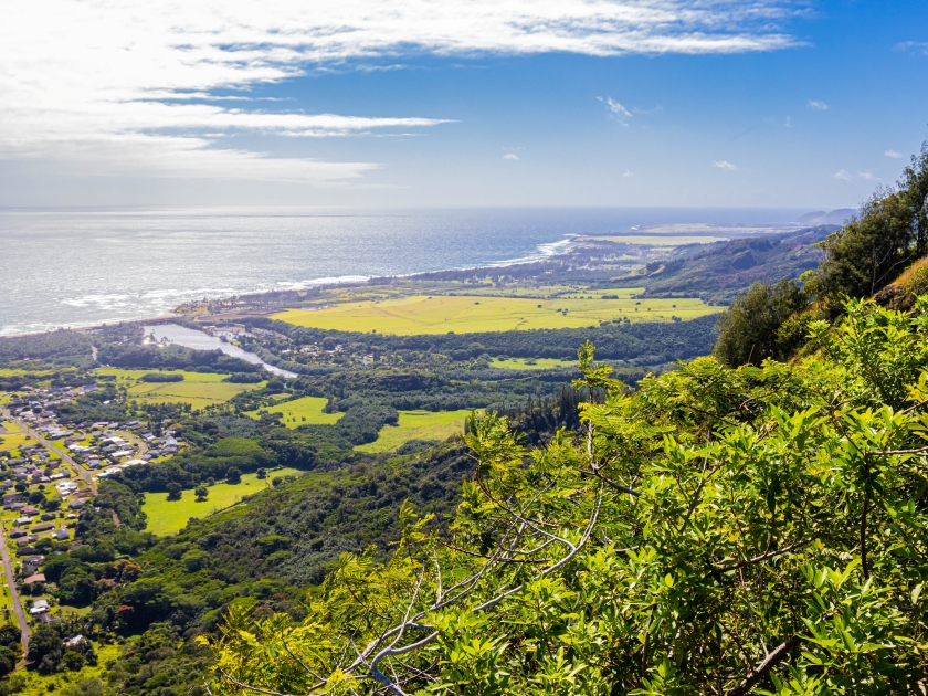 View of Kapa'a Town and The Pacific Ocean From The Sleeping Giant Trail, Kapa'a, Kauai, Hawaii, USA