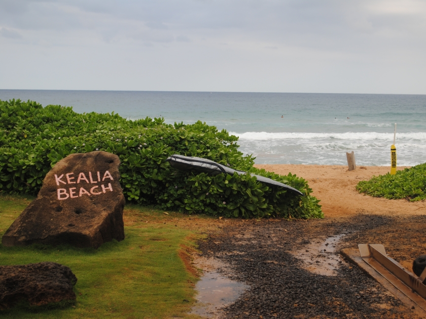 Kealia Beach, Kauai, Hawaii, USA