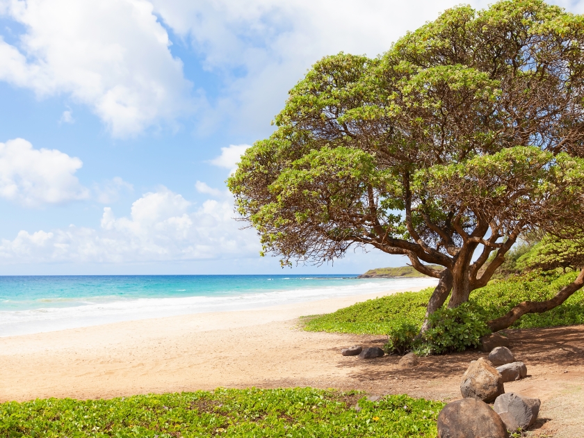 view at empty and beautiful kealia beach at kauai island, hawaii