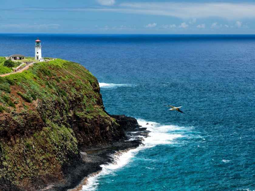 kauai lighthouse kilauea point hawaii island