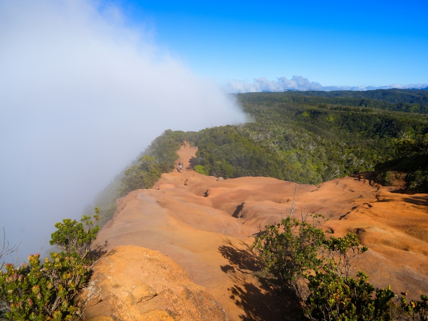 Clouds coming from the Pacific Ocean covering the forest at the Kaluapuhi trailhead in the Koke'e State Park on Kauai island, Hawaii