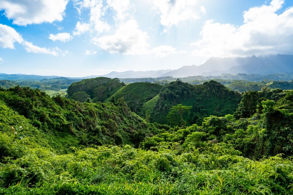 Kuilau Ridge Trail in Kauai, Hawaii