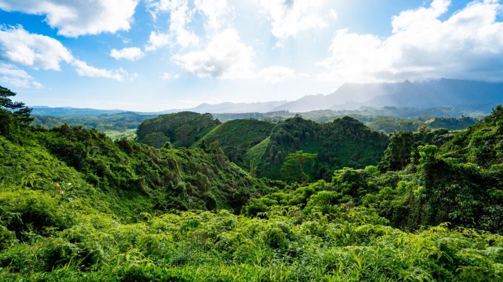 Kuilau Ridge Trail in Kauai, Hawaii