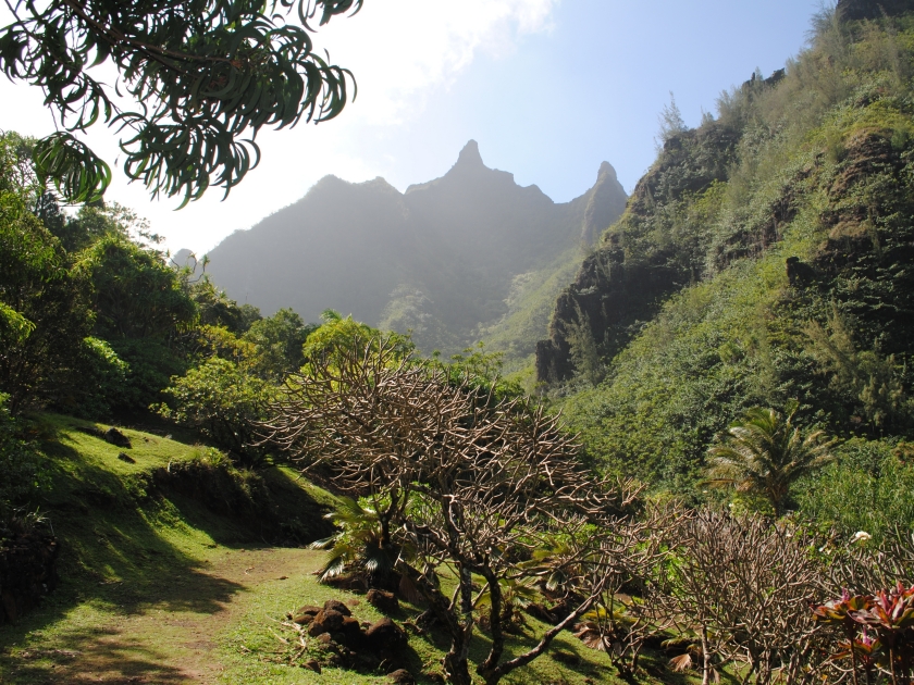 Limahuli Garden and Preserve. Kauai, Hawaii, USA