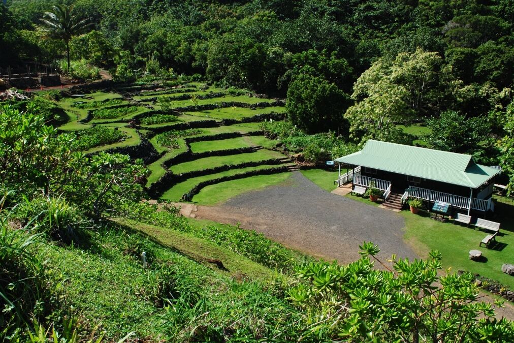 Limahuli Garden and Preserve. Kauai, Hawaii, USA.