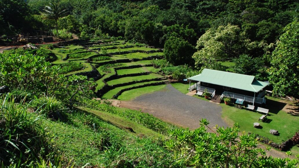 Limahuli Garden and Preserve. Kauai, Hawaii, USA.