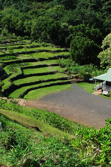 Limahuli Garden and Preserve. Kauai, Hawaii, USA.