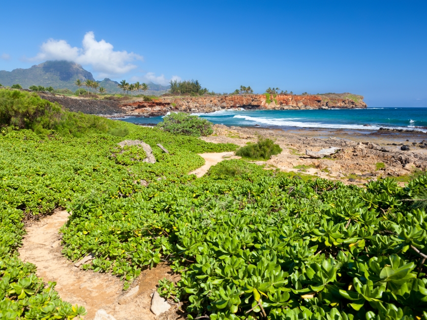 Hiking the Mahaulepu Heritage Trail in Kauai, Hawaii.